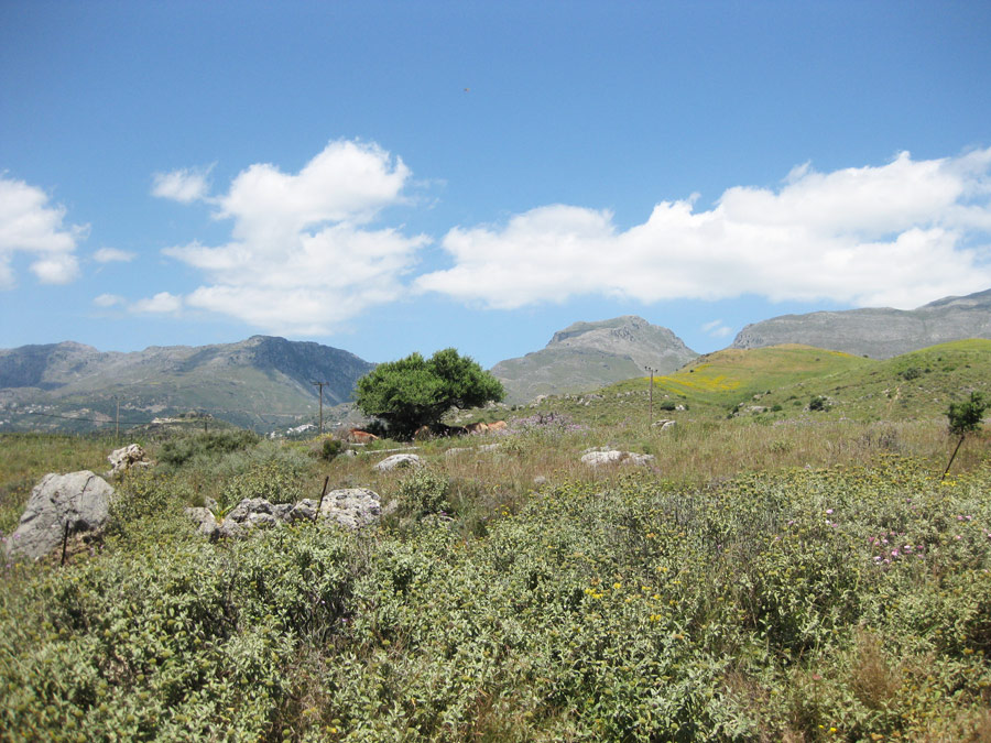 BL - 202 Investment plot close to Plakias - Rethymno