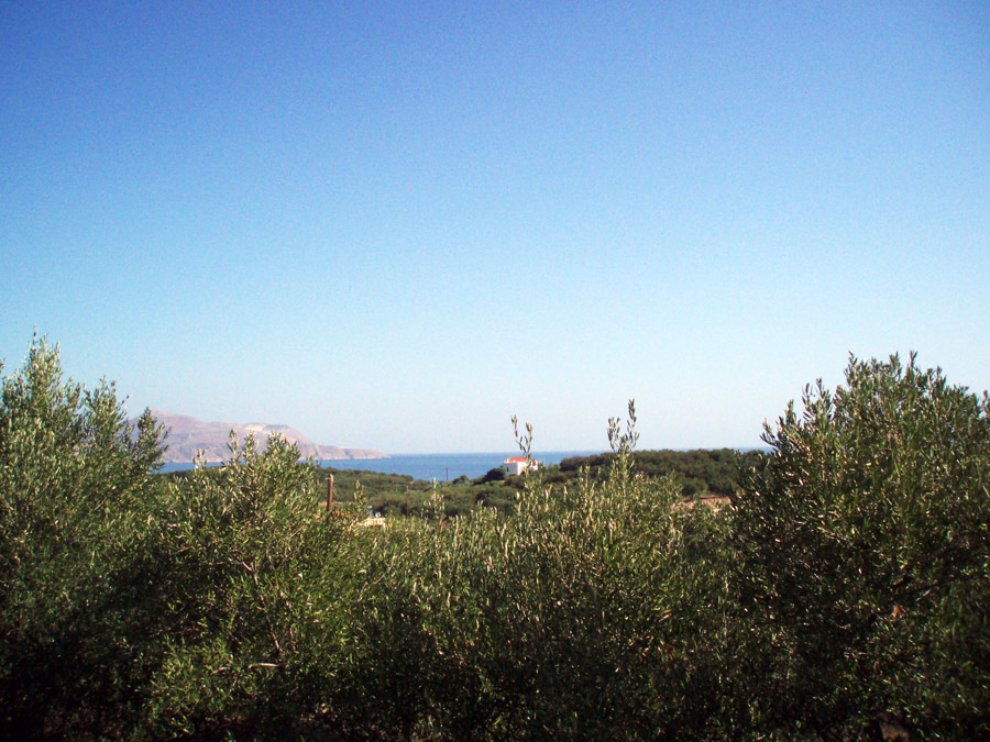 BL - 207 Plot in Plaka with beautiful sea views