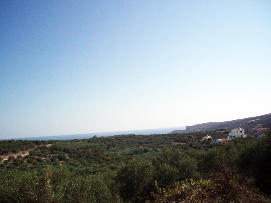 BL - 207 Plot in Plaka with beautiful sea views