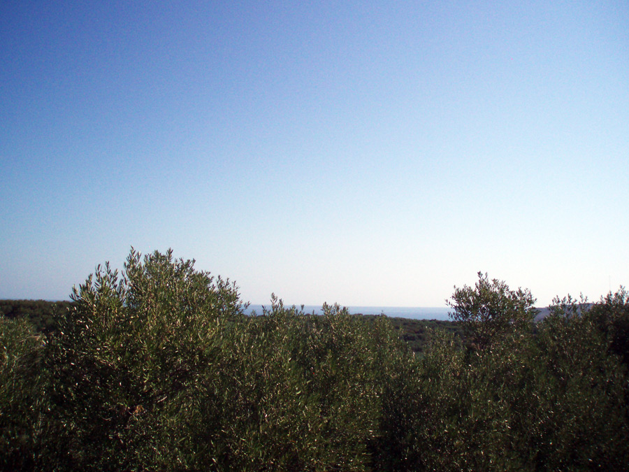 BL - 207 Plot in Plaka with beautiful sea views